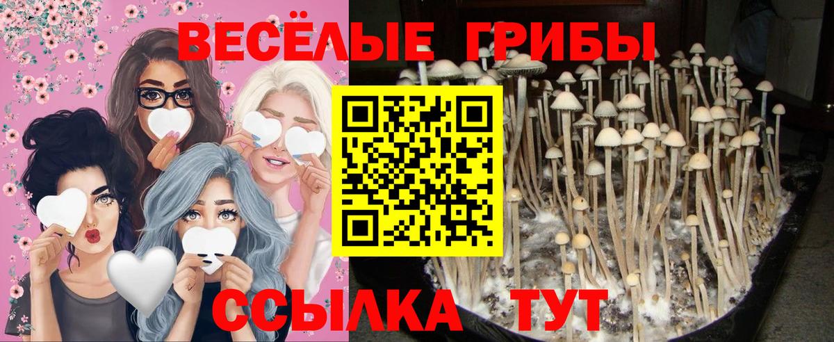 Галлюциногенные грибы GOLDEN TEACHER  Вход с VPN  Галлюциногенные грибы Cubensis  Лабытнанги 